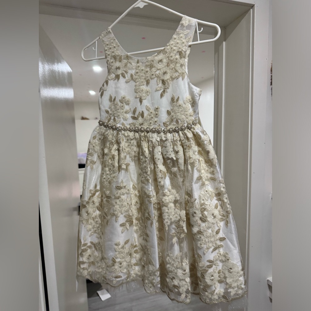 Flower girl/princess dress